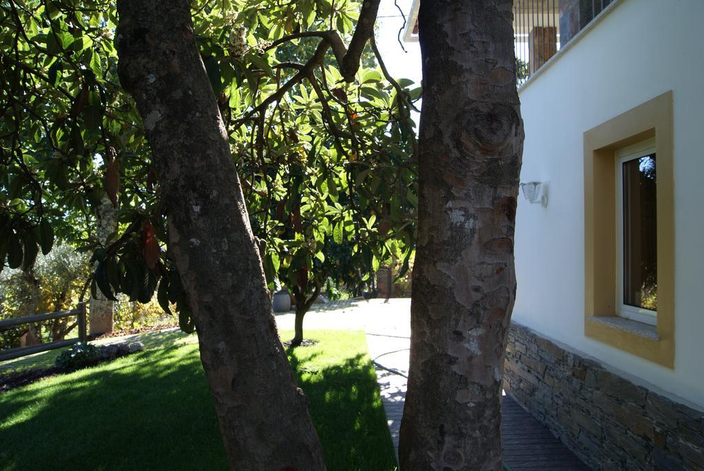 Casa De Santo Antao - Séjour à la campagne *