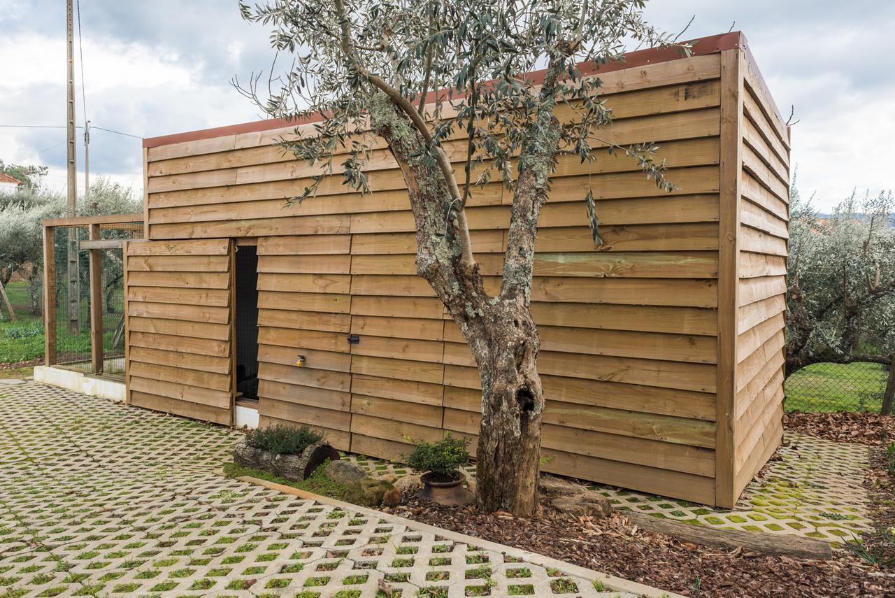 Casa De Santo Antao - * Padroes (Coimbra)